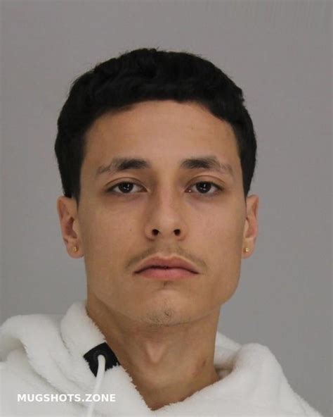 RUBI GUILLERMO 04 05 2021 Dallas County Mugshots Zone