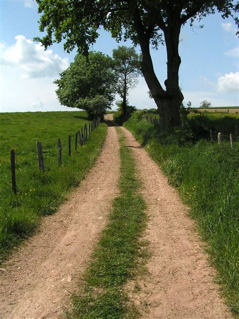 Jakobus Weg Wiese Zaun B Ume Wolken Flickr