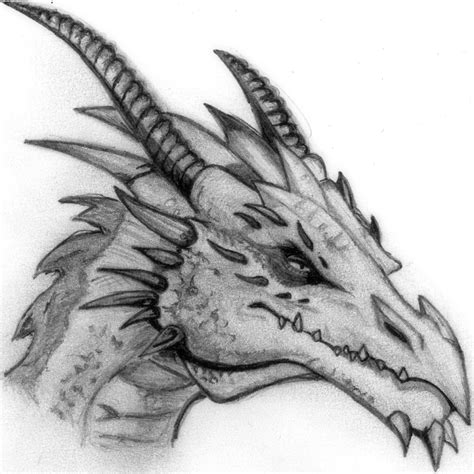 Cool Dragon Drawings At Explore Collection Of Cool