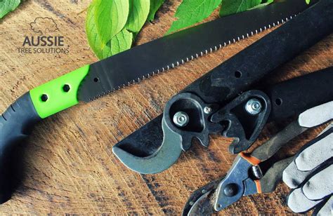 Essential Tree Pruning Tools And Tips Essential Tree Pruning Tips & Tips