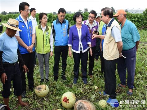 彰化西瓜裂瓜情況嚴重 王惠美勘災盼農政單位補助 尋夢好新聞