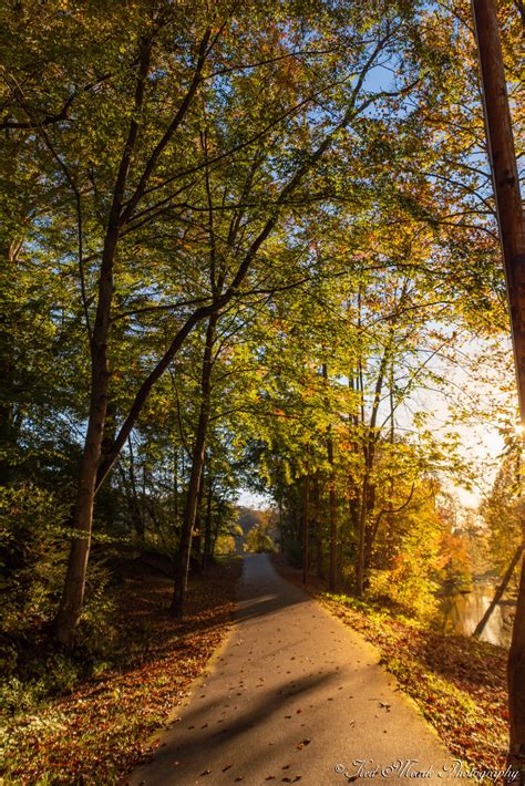 Understanding Funeral Prices in Big Stone Gap VA - Find Affordable Options 2