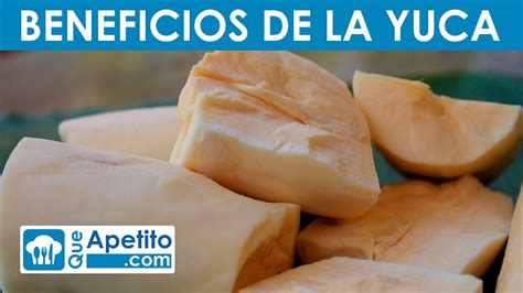 8 Propiedades Y Beneficios De La Yuca Queapetito Youtube