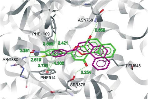 Superimposition Of The Docked Conformations Of NF 4 Magenta And NF 28