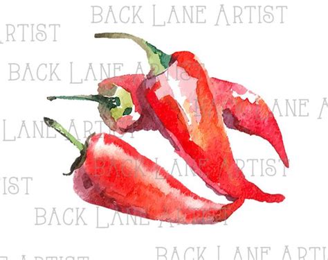 Red Chili Drawing at PaintingValley.com | Explore collection of Red ...