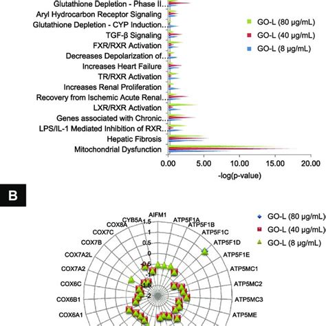 Ipa Analysis Of Rna Sequencing Data Reveals Mitochondrial Dysfunction Download Scientific