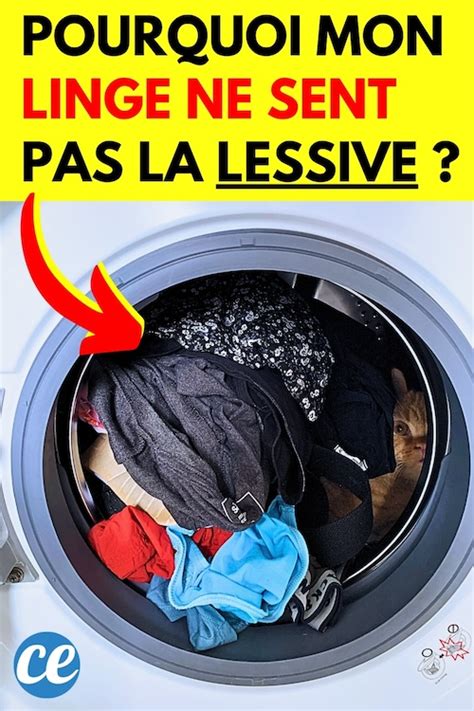 Pourquoi Mon Linge Ne Sent Pas La Lessive Apr S Lavage