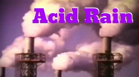 What Causes Acid Rain