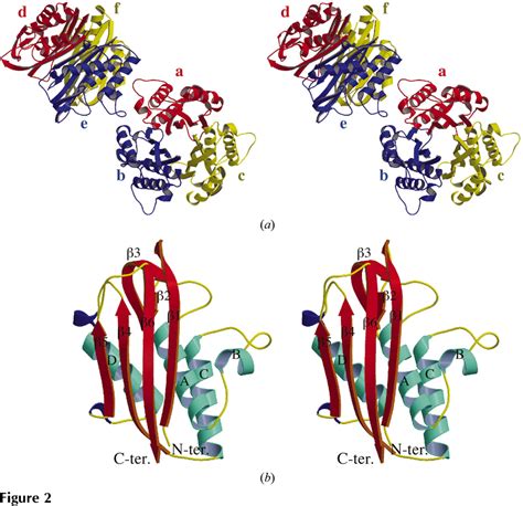 Figure 2 From Structure And Catalytic Mechanism Of 2 C Methyl D