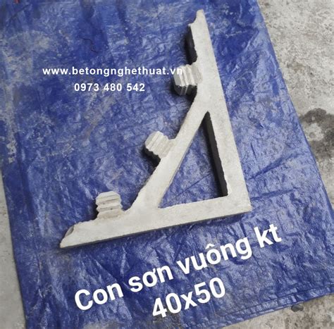 Con sơn 40x50cm