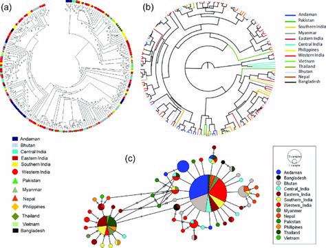 Haplogroup I2 And Its Relationship With I2 Haplogroup Cattle Of Island