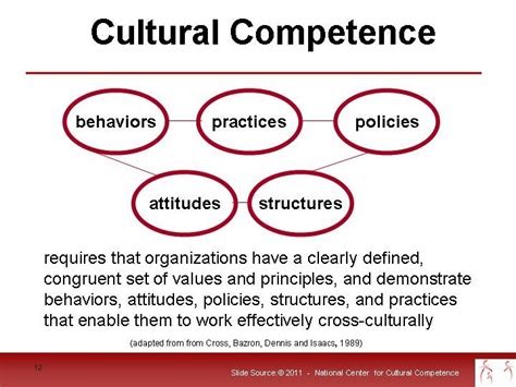 Cultural Competence In Social Work Practice Kelsey Has Porter