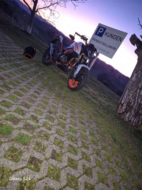 Online Naked Bike Willhaben