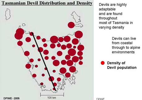 Habitat - The Tasmanian devil