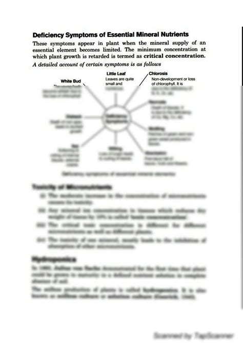 SOLUTION Mineral Nutrition In Plants Biology Studypool