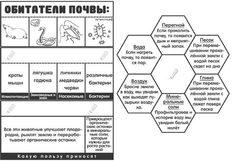 Природа. Окружающий мир. Распечатки по предмету - презентация онлайн