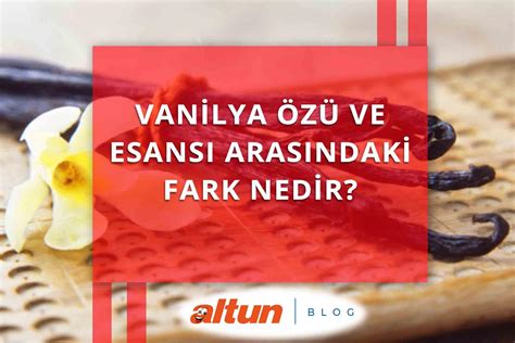 Vanilya Özü ve Esans Arasındaki Fark Nedir Altun Blog