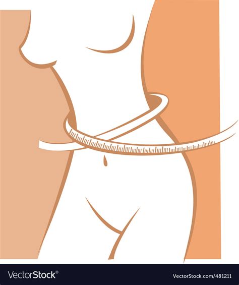 Waistline Royalty Free Vector Image Vectorstock