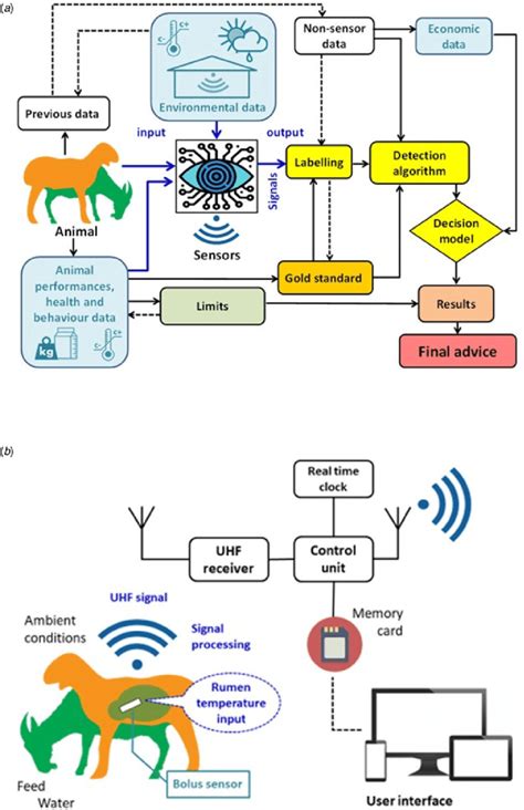 Precision Livestock Farming Solutions For Small Ruminants A