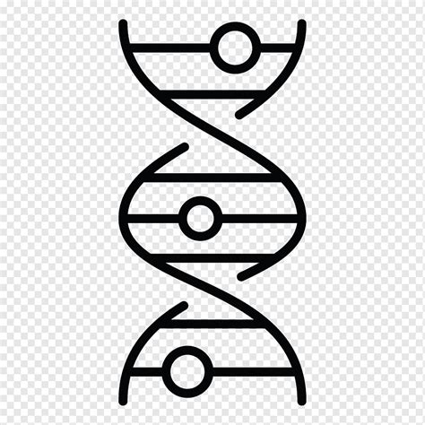 Biolog A Del Libro De Colorear De Doble H Lice Del Cido Nucleico De