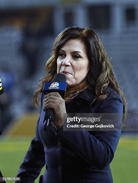 Reporter Michele Tafoya Photos and Premium High Res Pictures - Getty Images