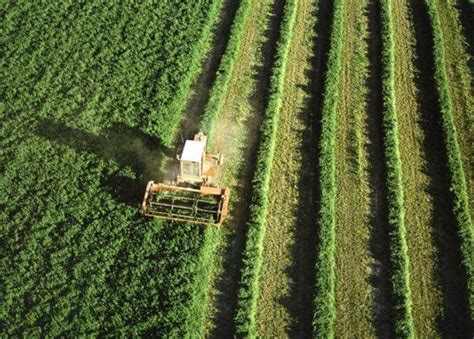 Sustentabilidad social qué es y cómo trabajan las empresas para poder