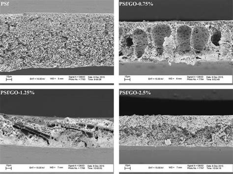 Sem Cross Sectional Image Of Psf And Psfgo Nanocomposite Membranes