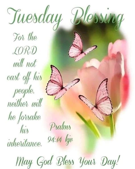 Tuesday Blessing For The Lord Will Not Cast Off His People Neither