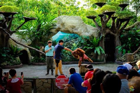 Davao Crocodile Park | City Search Philippines