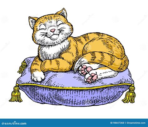 Pampered Cat Stock Illustration Illustration Of Happy 98647368