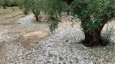 Maltempo Nel Barese Grandine A Locorotondo Allerta Arancione Per