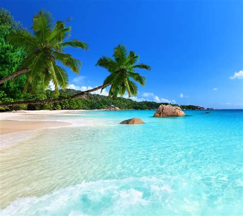 Tropical Beach Scenes Wallpapers - Top Free Tropical Beach Scenes ... 