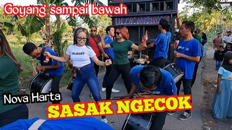 Sasak Ngecok Cover By Nova Harta Lumbung Harapan Terbaru Youtube