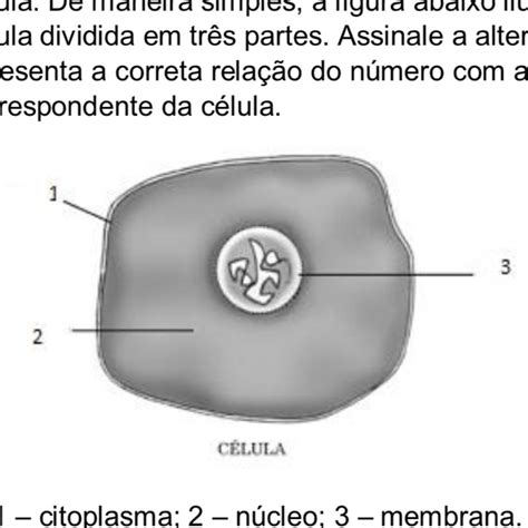 1 A unidade fundamental de todos os seres vivos é a célula De maneira