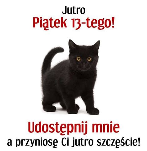 Czarny kotek przypomina że jutro piątek 13 go Gify i obrazki na