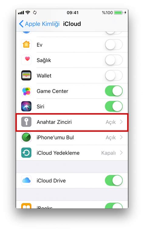 iCloud anahtar zinciri parolaları nasıl görüntülenir Sihirli Elma