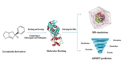 Molecular Docking Molecular Dynamics Simulation And Admet Analysis Of