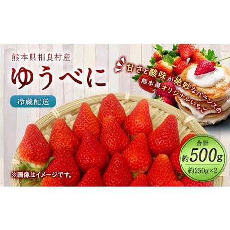 ふるさと納税 熊本県 相良村 【2024年12月上旬〜2025年4月下旬発送予定】相良村産 いちご「ゆうべに」250g×2パック 日野農園