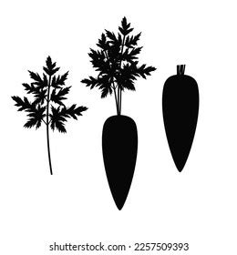 Carrot Black Silhouette Vector Set Stock Vector Royalty Free