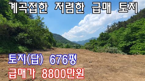 No427 상동면 신곡리 계곡접한 저렴한 급매 토지 밀양신삼진부동산밀양부동산매매밀양주말농장밀양농막밀양토지