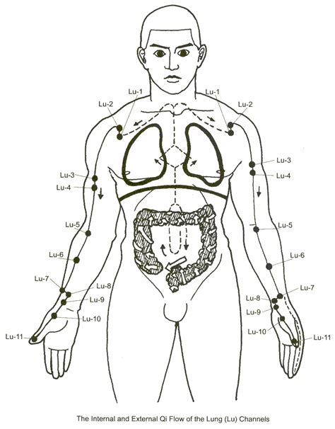 Lung Meridian