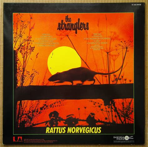 The Stranglers Rattus Norvegicus Rene Rox Flickr