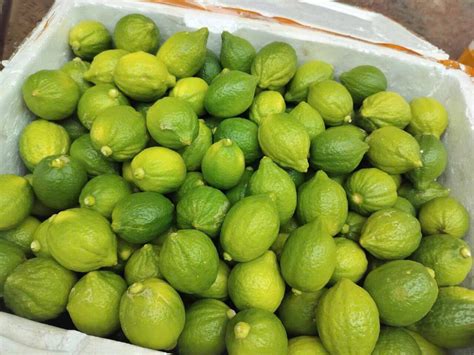 Tr Chanh Gi Tay C G Hot M Gi I Tr Ph I X P H Ng Nhi U Ti Ng Ng H Ch T I L T