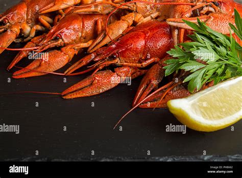 Boiled Cooked Crayfish Crawfish Ready To Eat On Black Background Copy