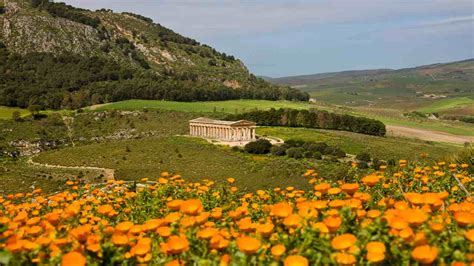 Tempio Di Segesta Una Giornata All Insegna Della Bellezza