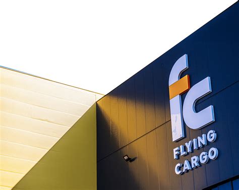 Flying Cargo I Advanced logistic and supply chain management