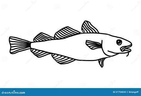 Codfish Stock Vector Illustration Of Fresh Background