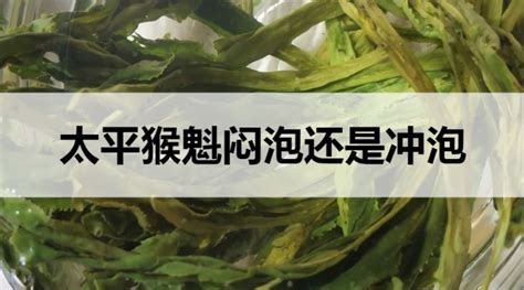 太平猴魁闷泡还是冲泡？ 茶文化网