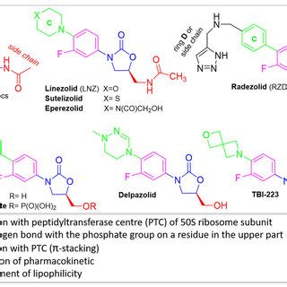 (PDF) Oxazolidinone Antibiotics: Chemical, Biological and Analytical ...