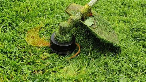 How To Cut Grass With String Trimmer Youtube